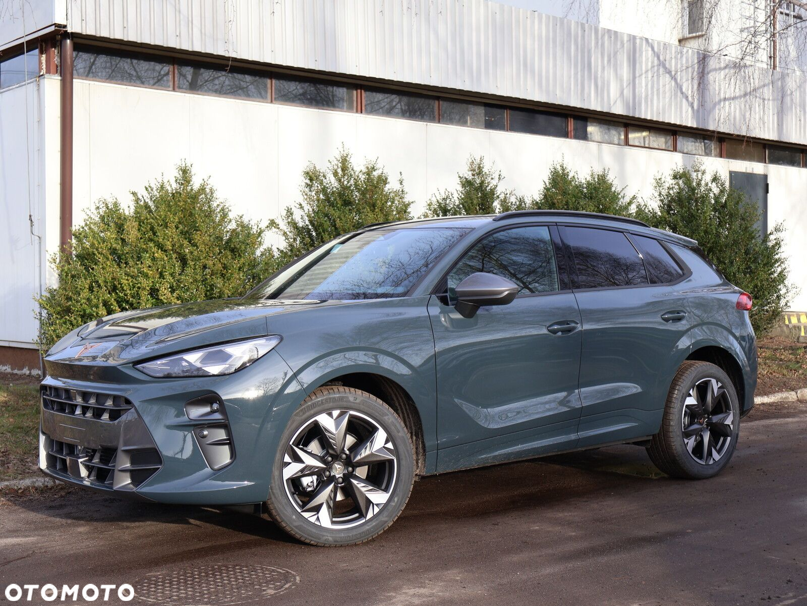 Cupra Terramar 1.5 eTSI mHEV DSG - 2