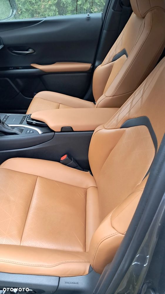 Lexus UX 250h GPF Omotenashi 2WD - 4