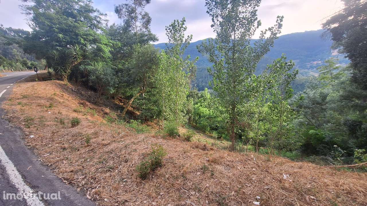 Terreno de 15000m² em Travanca, com possibilidade de construção. - Grande imagem: 3/12