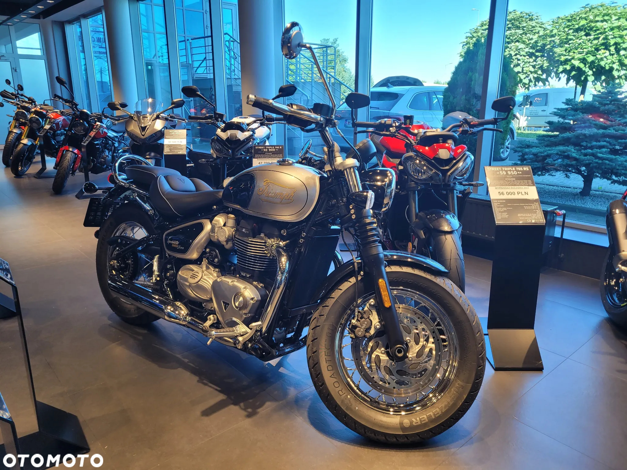Triumph Speedmaster - 2