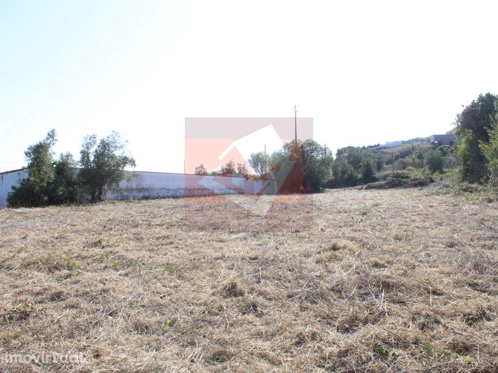 Terreno Rústico em Albogas - Grande imagem: 4/7