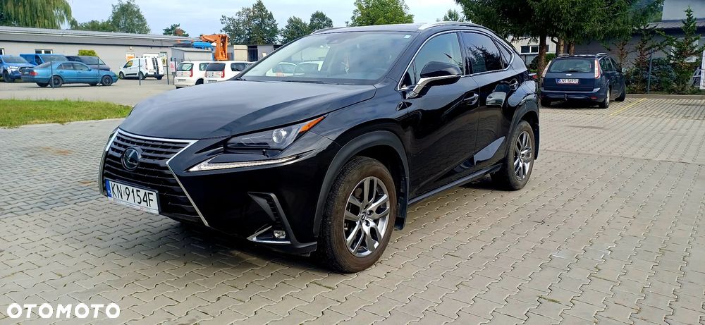 Lexus NX 300 - 5