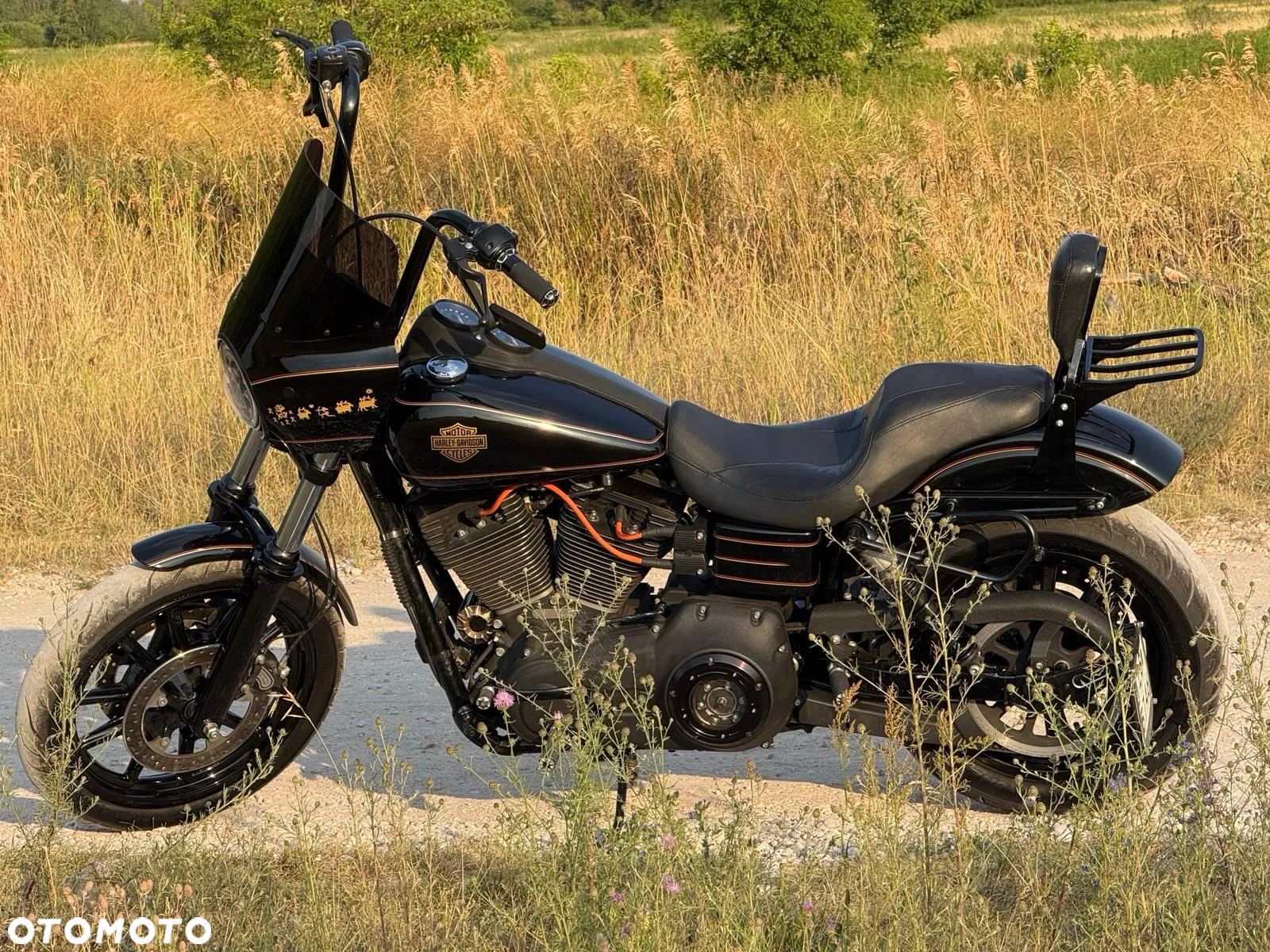 Harley-Davidson Dyna Low Rider - 5