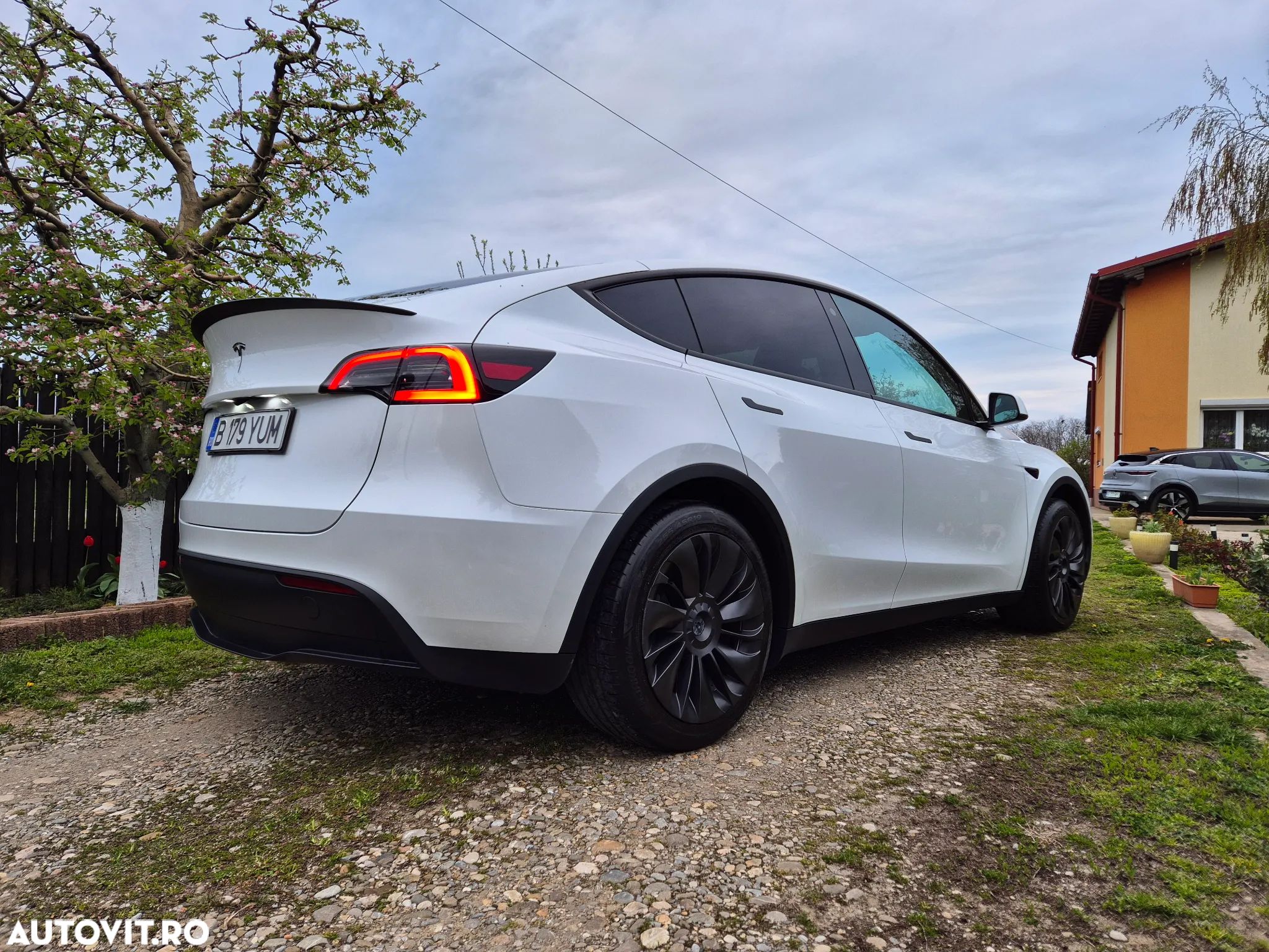 Tesla Model Y - 1