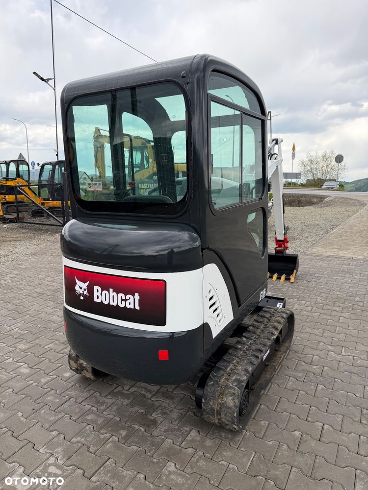 Bobcat - 1