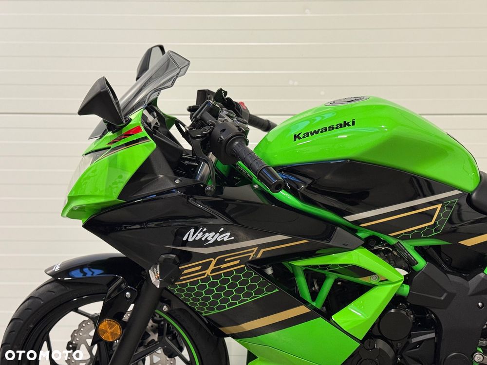 Kawasaki Ninja - 25