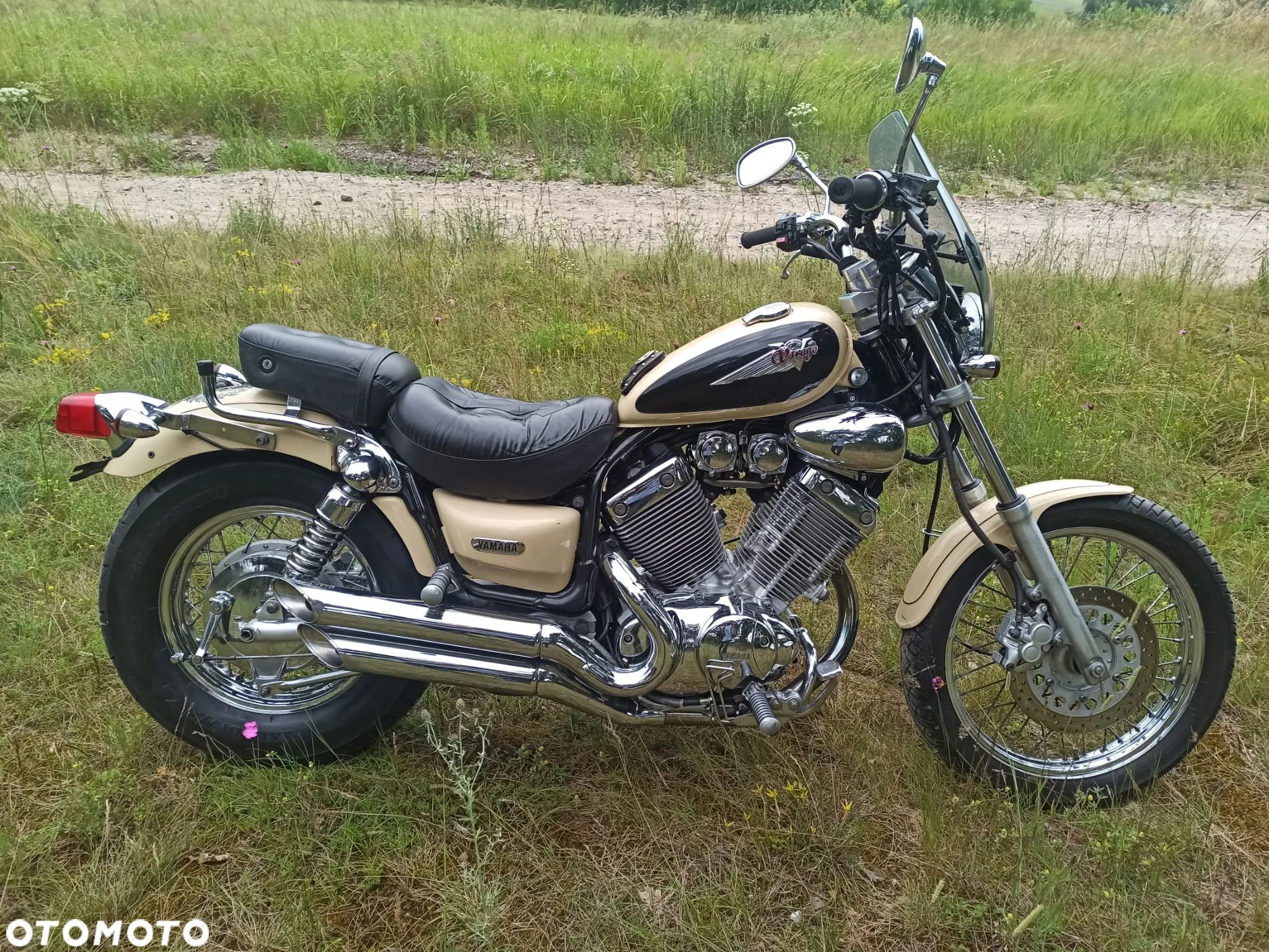 Yamaha Virago - 1