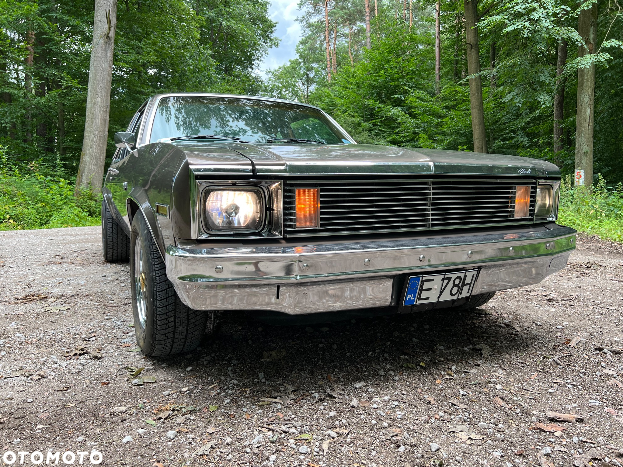 Chevrolet Nova - 10