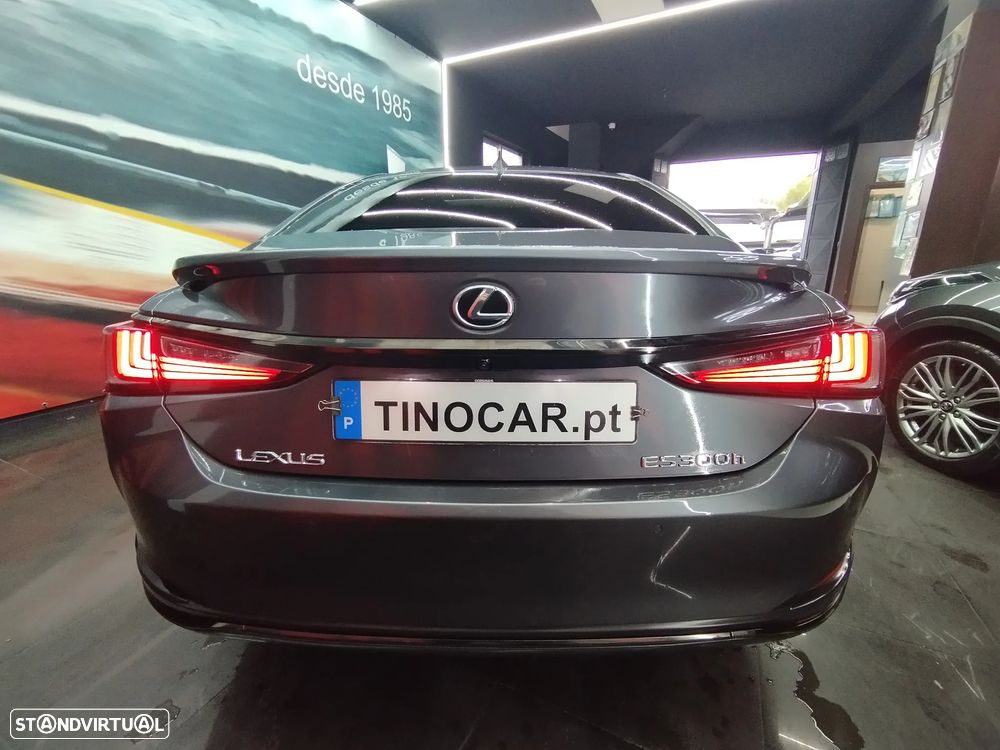 Lexus ES 300h F Sport - 6