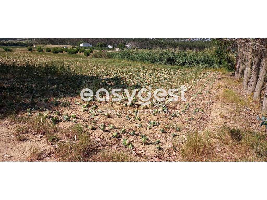 Excelente Terreno Rústico no Lugar da Formiga com 4120m2 - Grande imagem: 3/6