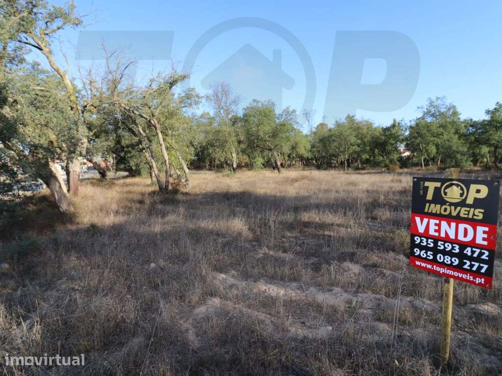 Terreno - 1018m2 - Foros de Salvaterra - 65.000€ - Grande imagem: 5/5