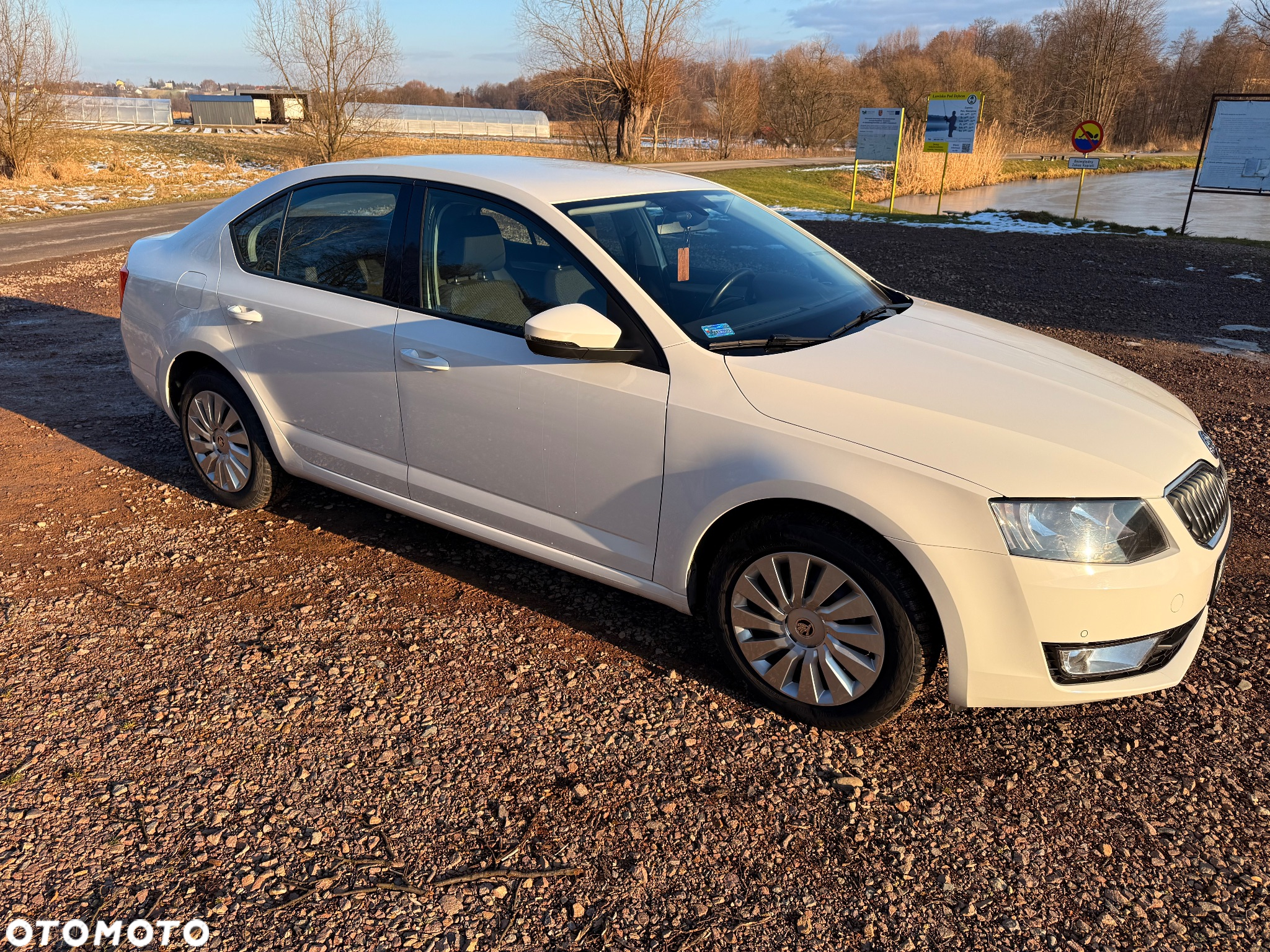 Skoda Octavia 1.6 TDI Ambition - 3