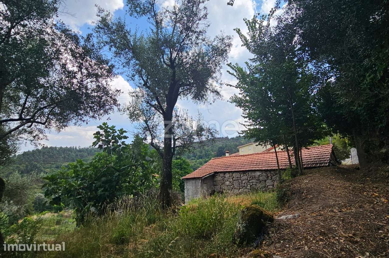 Moradia T1 para Reabilitação com Terreno em Lamelas, Ribas – Celori... - Grande imagem: 2/5