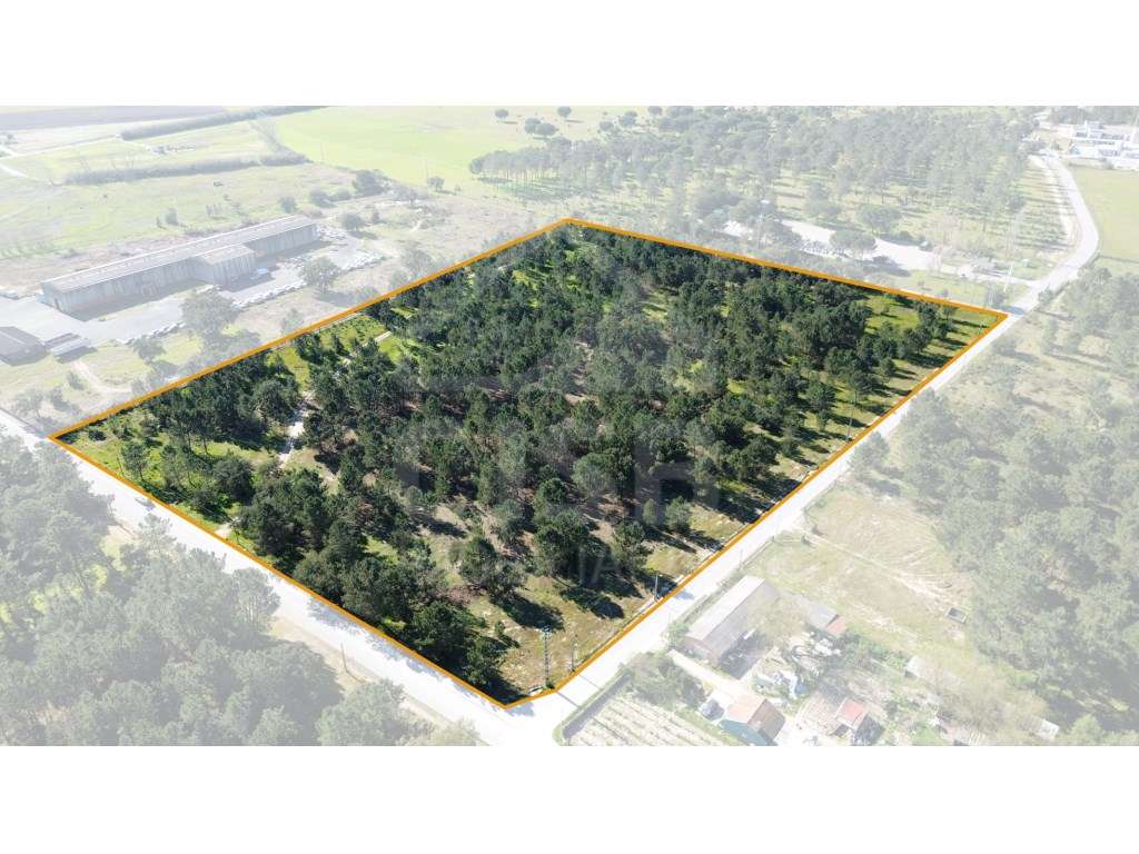 Oportunidade - 5 ha | Zona Industrial Salvaterra de Magos - Grande imagem: 4/17
