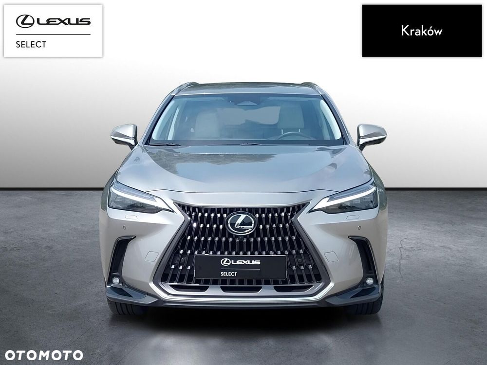 Lexus NX - 8