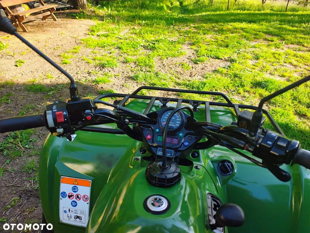 Kawasaki Brute Force - 7