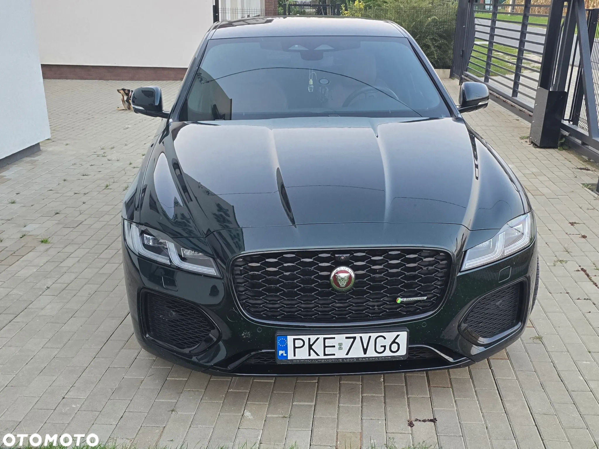 Jaguar XF 2.0 P250 R-Dynamic Black - 6