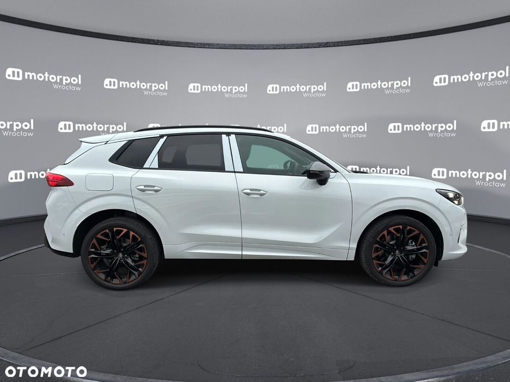 Cupra Terramar - 12