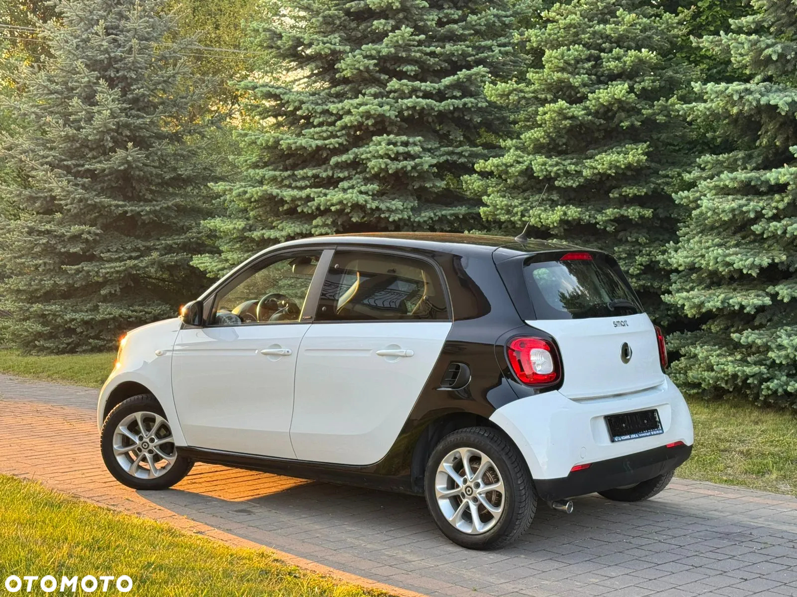 Smart Forfour passion - 5