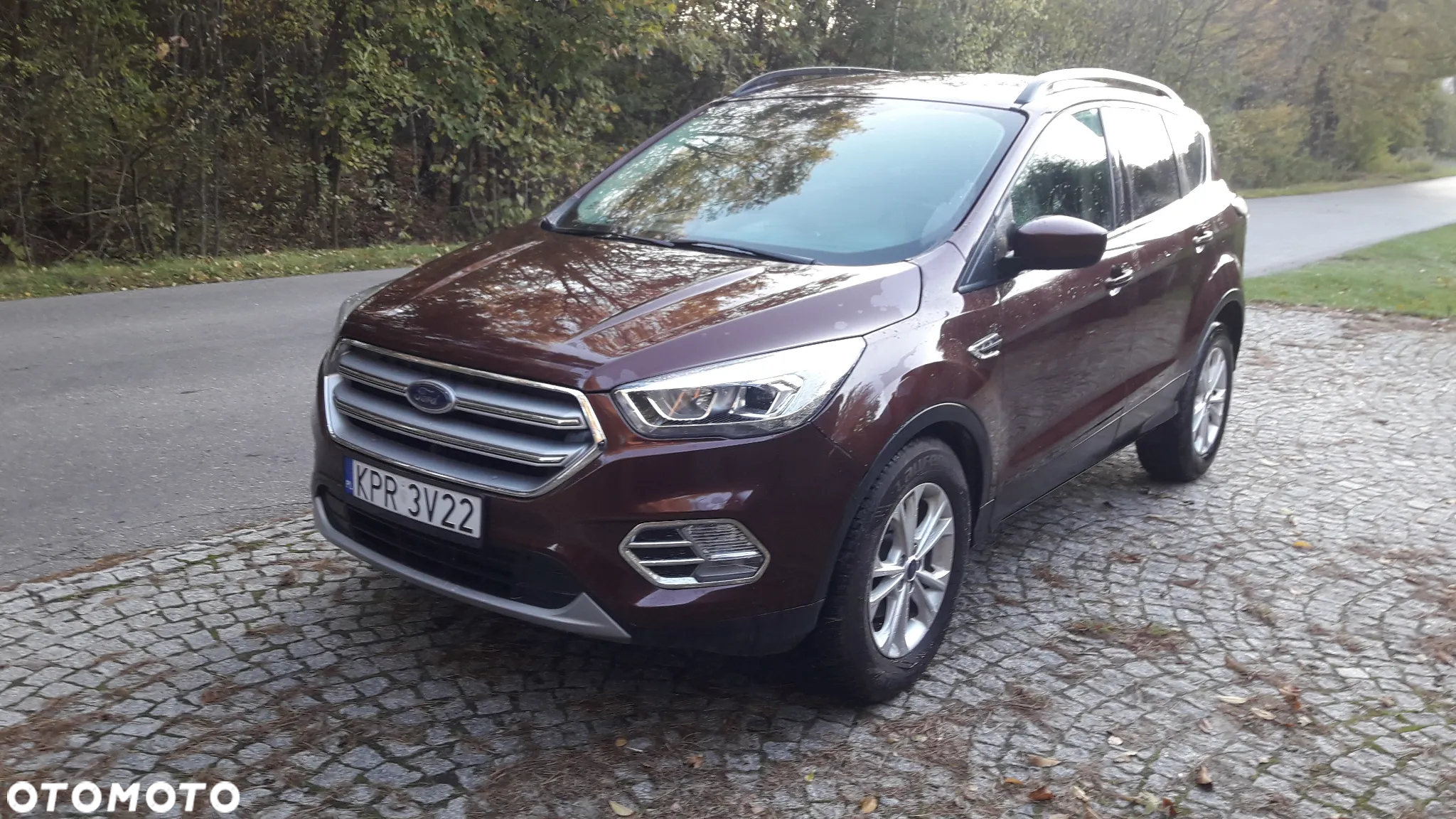 Ford Escape 1.5 EcoBoost AWD SE - 20