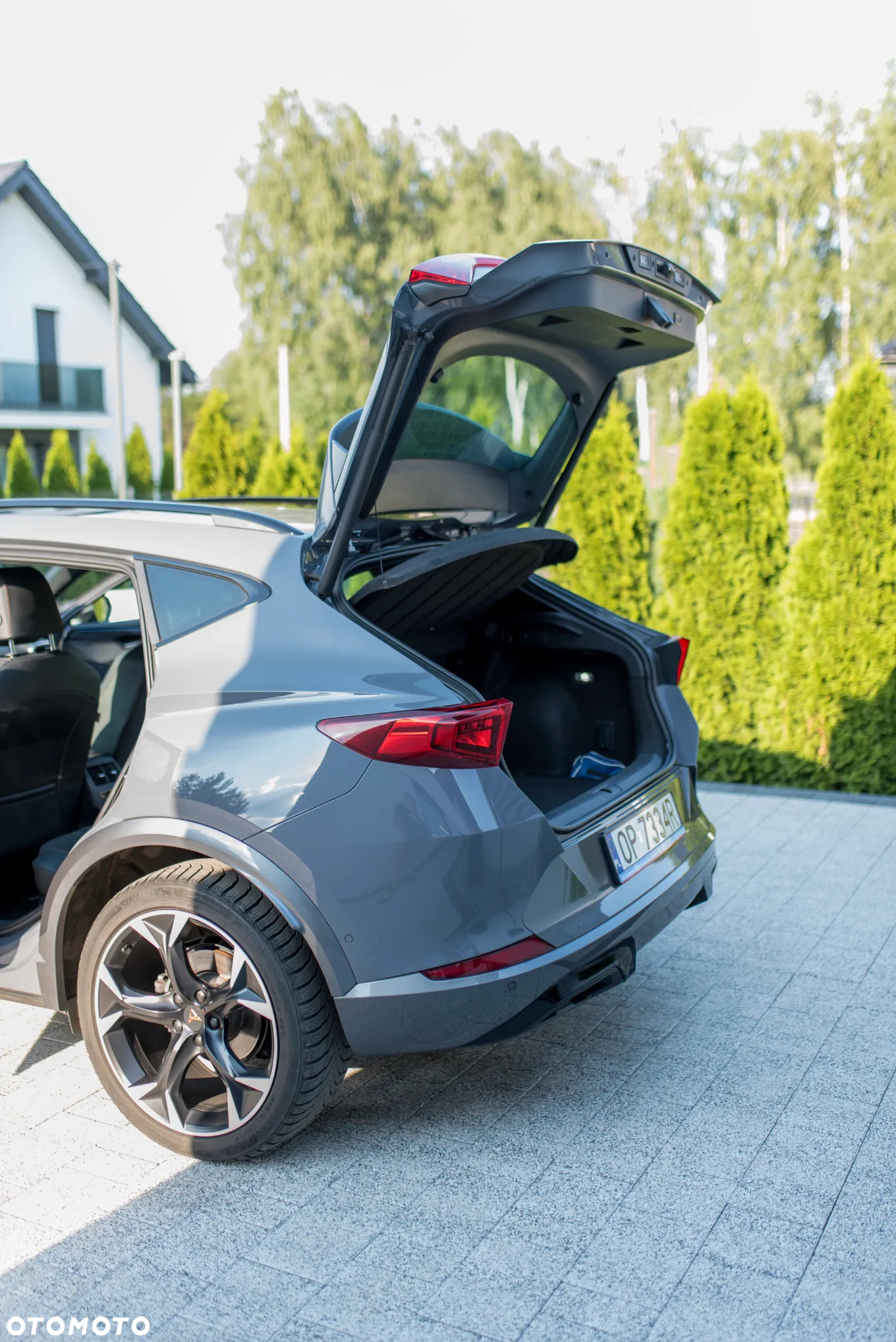 Cupra Formentor 2.0 TSI 4Drive DSG - 12