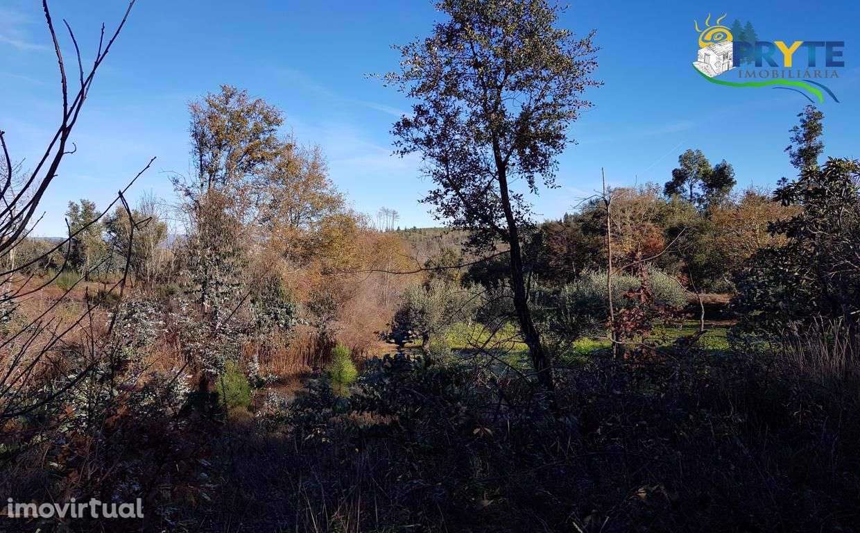 Quinta situada em Pedrógão Pequeno - Grande imagem: 3/60