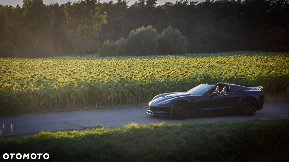 Chevrolet Corvette - 39