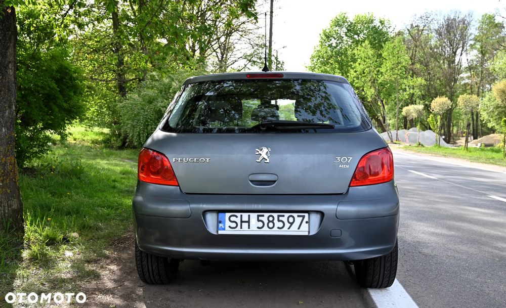 Peugeot 307 - 4