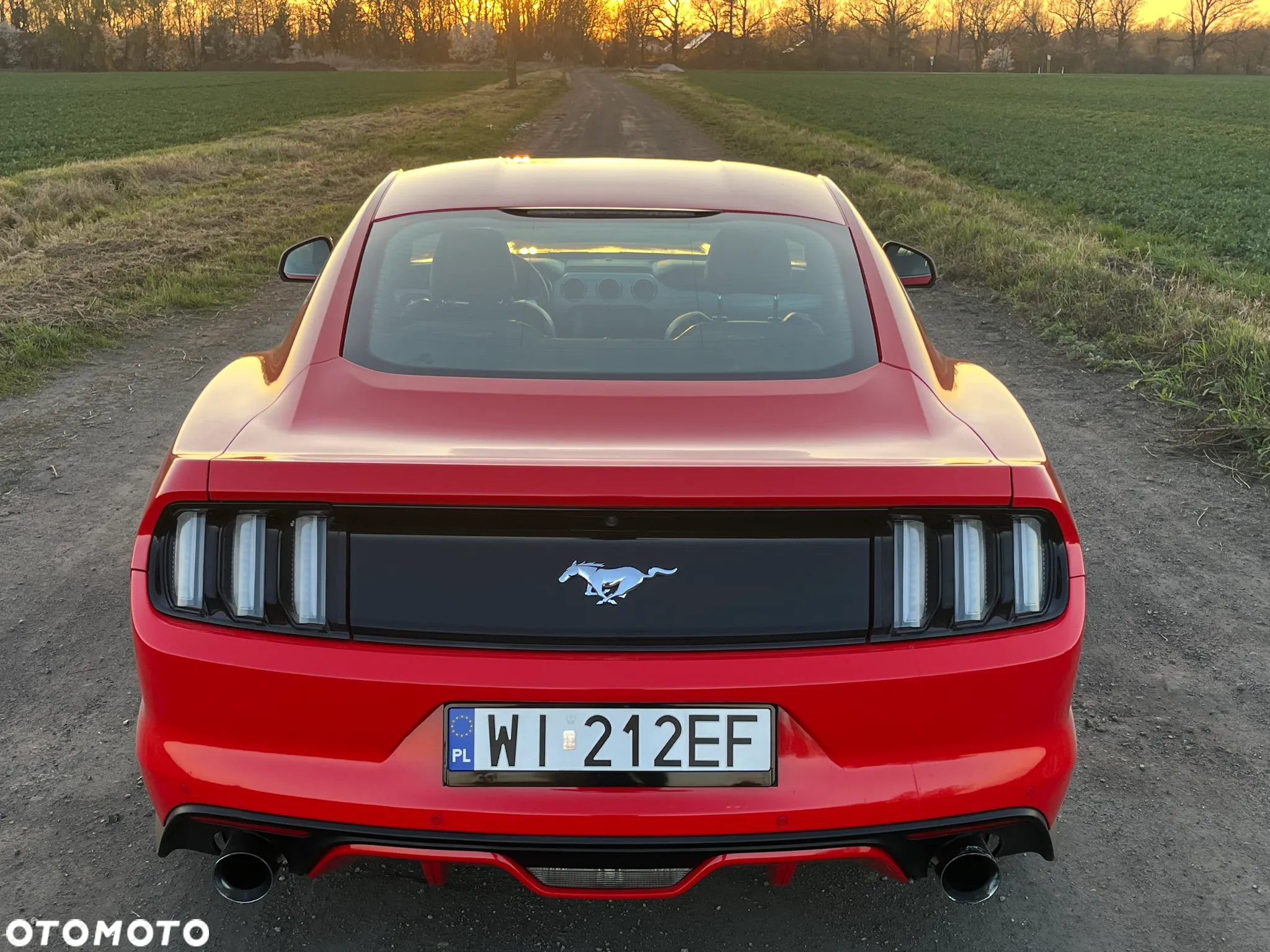Ford Mustang 5.0 V8 GT - 8