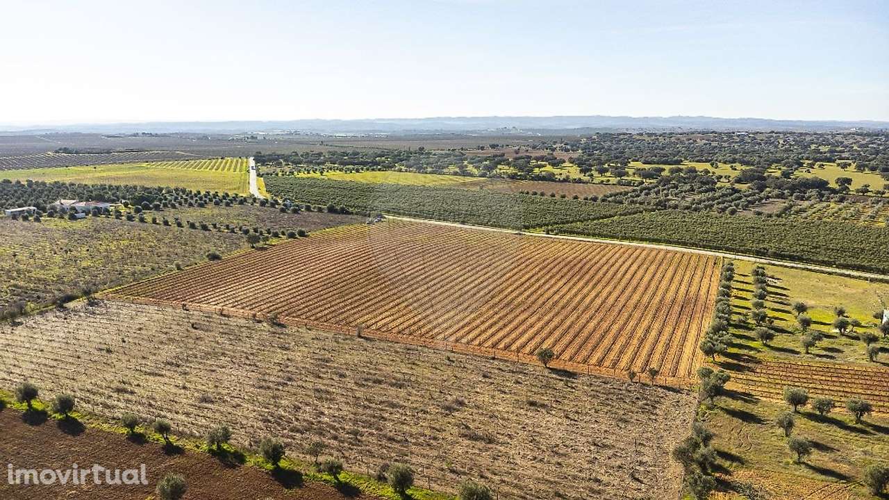 Terreno  para venda - Grande imagem: 5/50