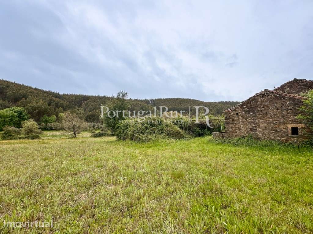 Quintinha de 5 Hectares em Enxames - Grande imagem: 5/45