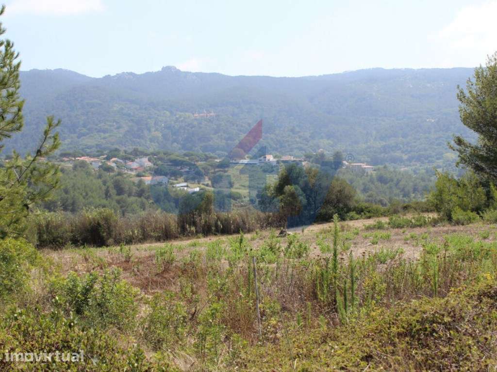 Terreno 12.000m2 em Nafarros, Sintra - Grande imagem: 3/15