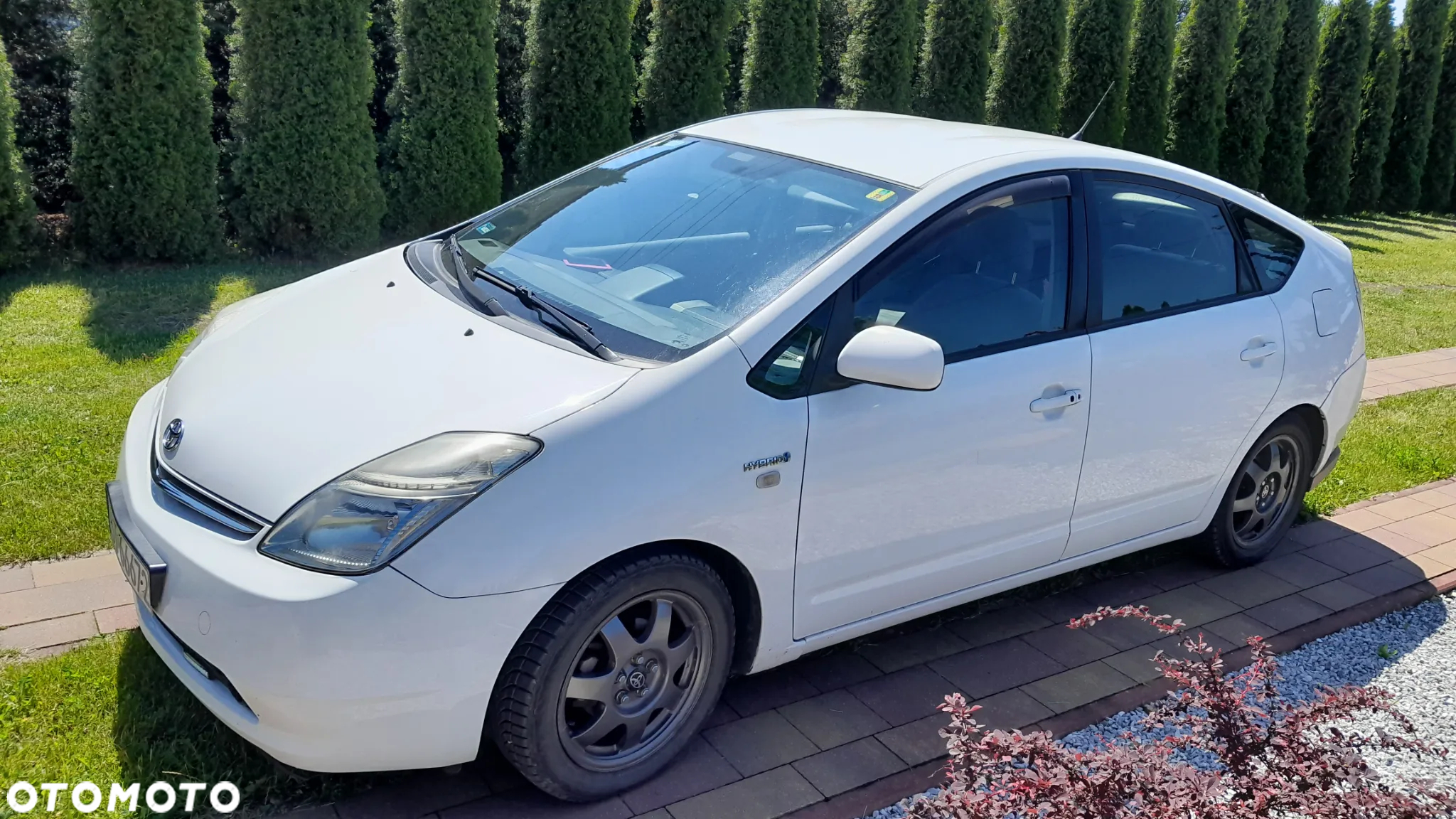 Toyota Prius (Hybrid) Sol - 6