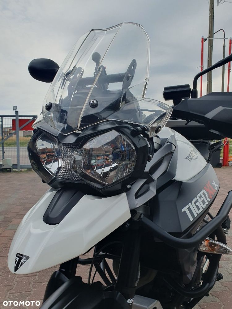 Triumph Tiger - 5