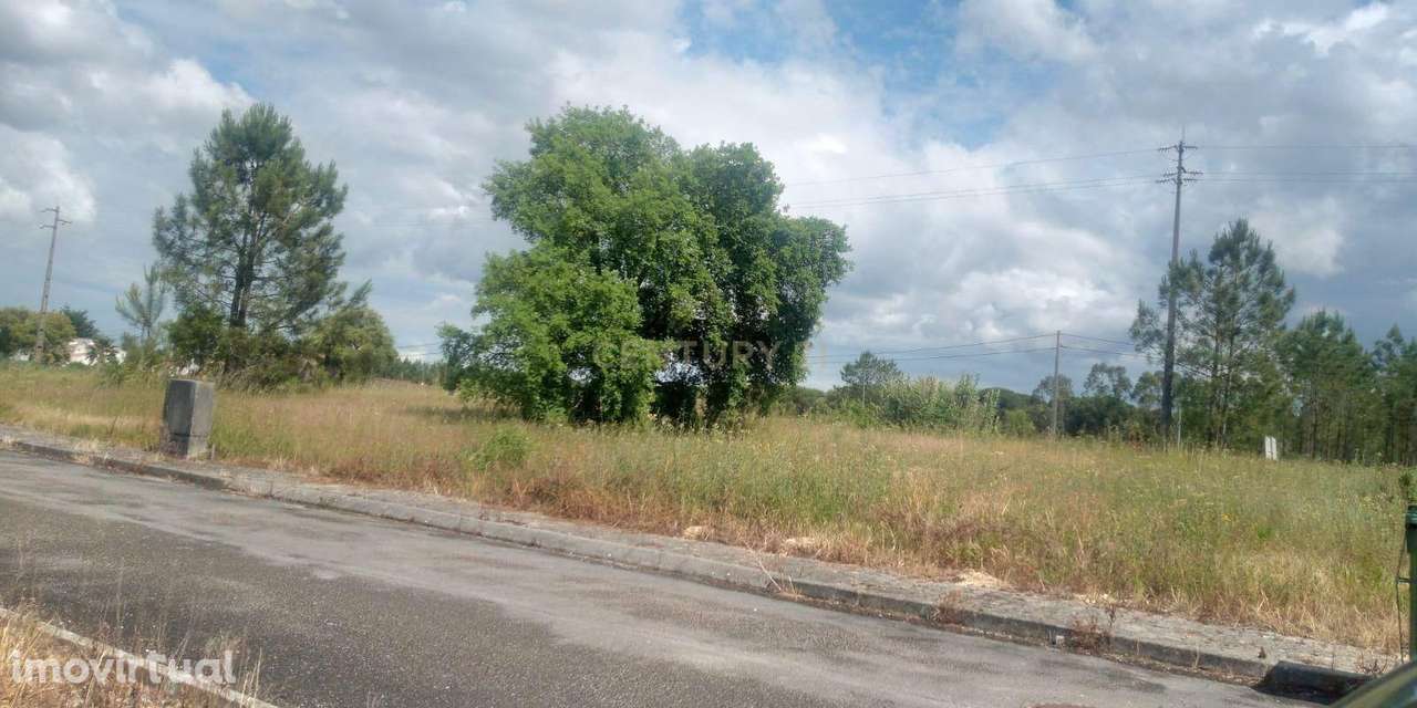 Lote para Construção em Biscainho – Coruche - Grande imagem: 3/22