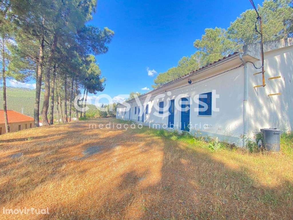 Magnifica Quintinha situada no coração do douro ideal para turismo - Grande imagem: 3/18