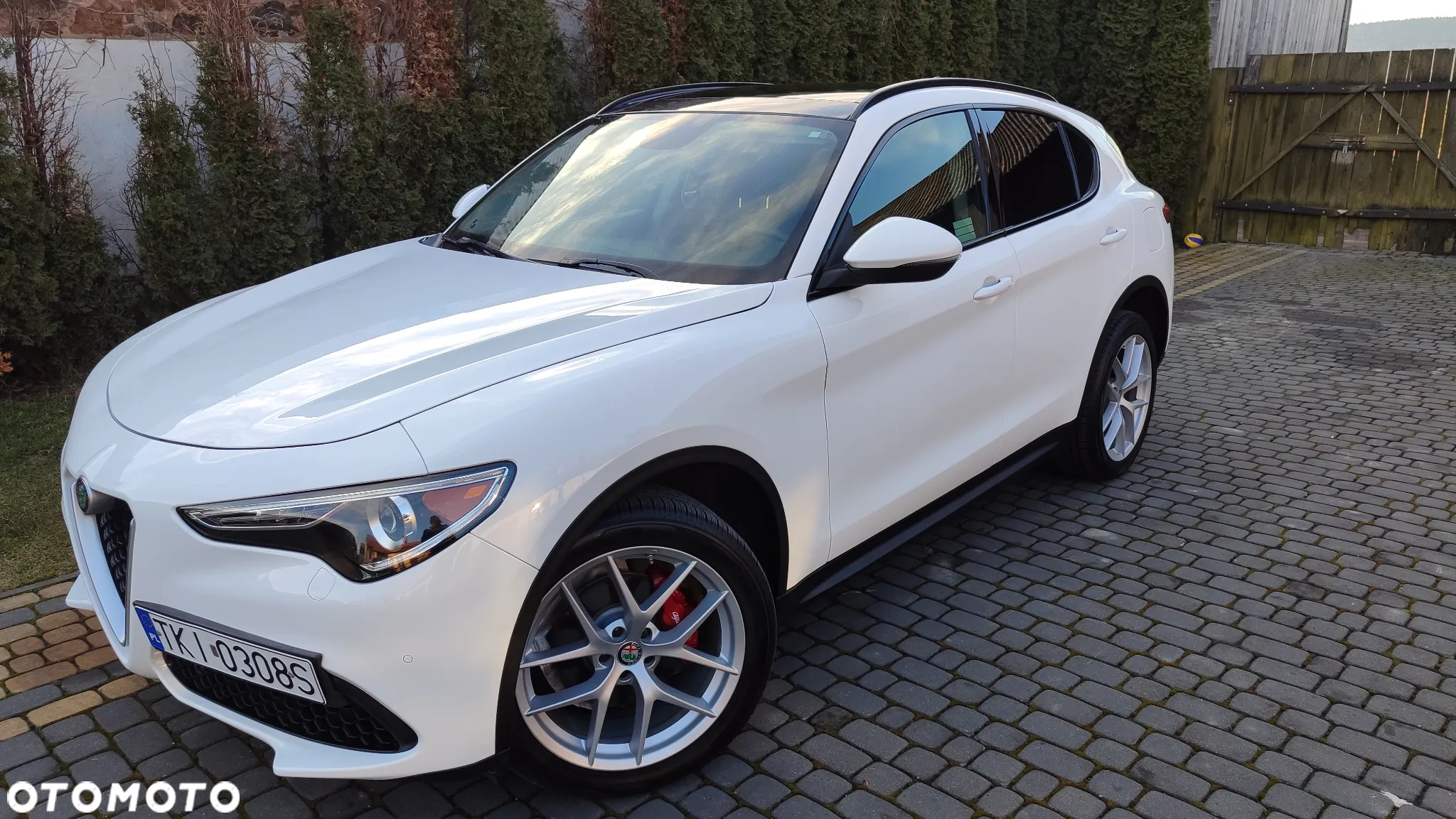 Alfa Romeo Stelvio 2.0 Turbo B-Tech Edition Q4 - 15