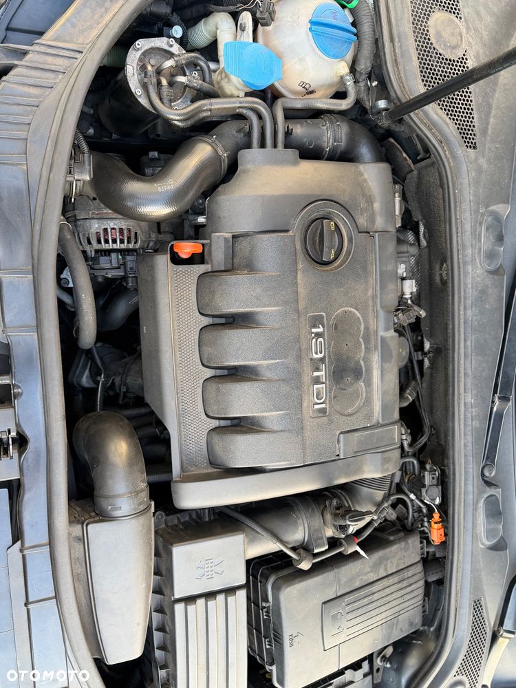 Audi A3 3-drzwiowe 1.9 TDI DPF Ambiente - 10