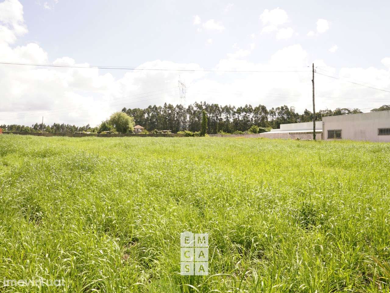 Terreno  Venda em Oliveira de Azeméis, Santiago de Riba-Ul, Ul, Macinh - Grande imagem: 4/13