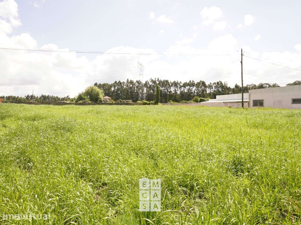 Terreno  Venda em Oliveira de Azeméis, Santiago de Riba-Ul, Ul, Macinh - Grande imagem: 4/13