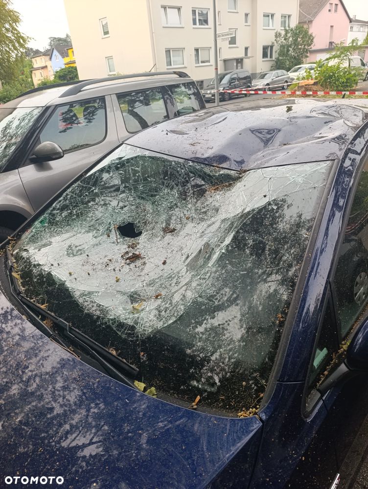 Volkswagen Golf GTI 2.0 TSI OPF Performance - 3