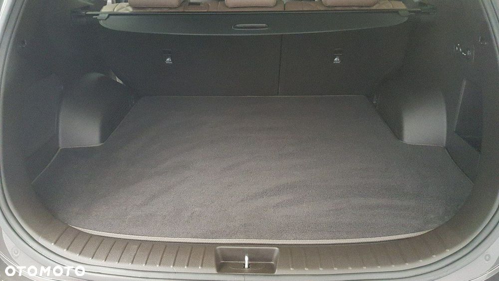 Hyundai Santa Fe - 21