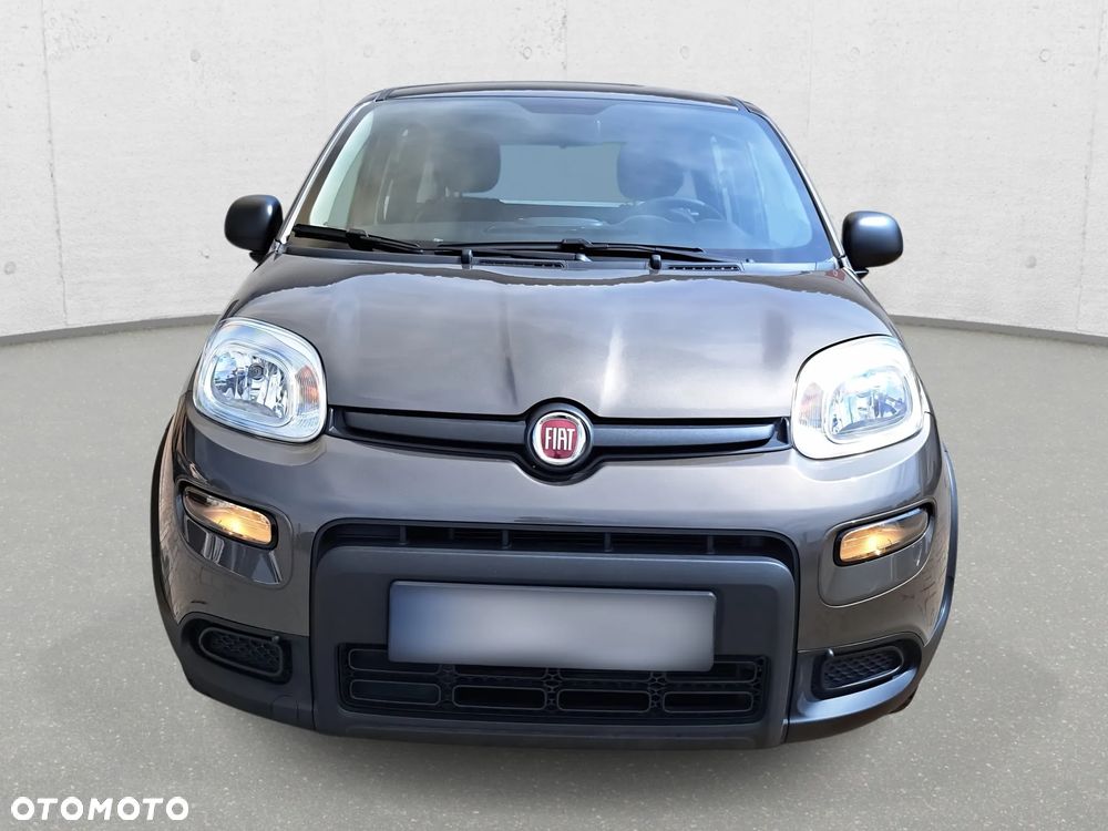 Fiat Panda - 3