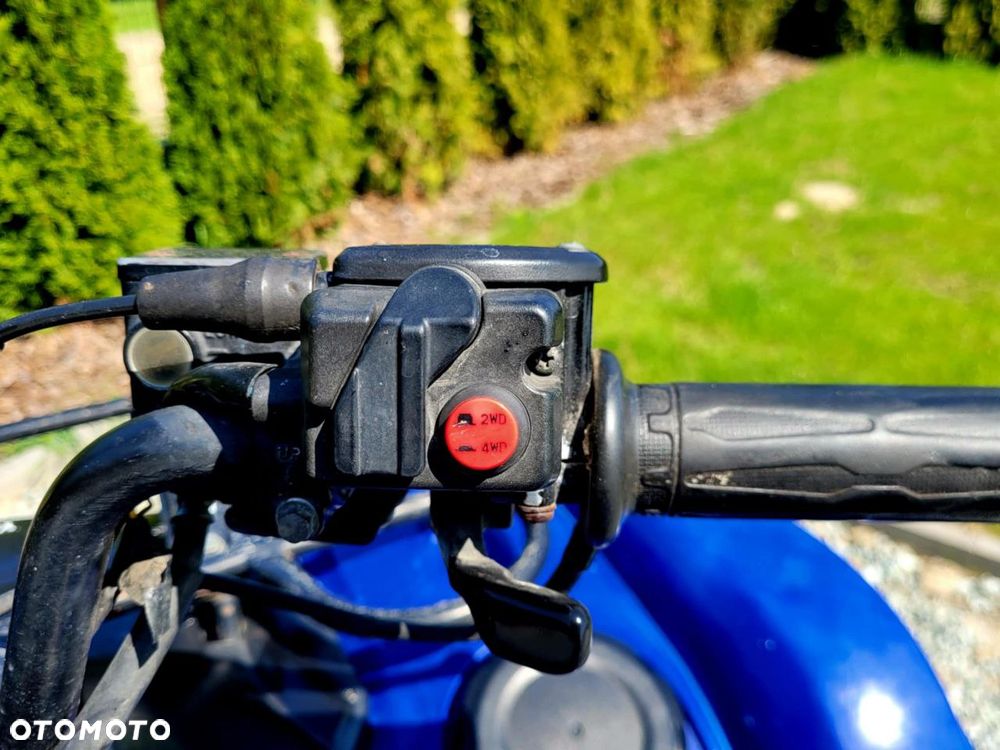 Yamaha Grizzly - 12