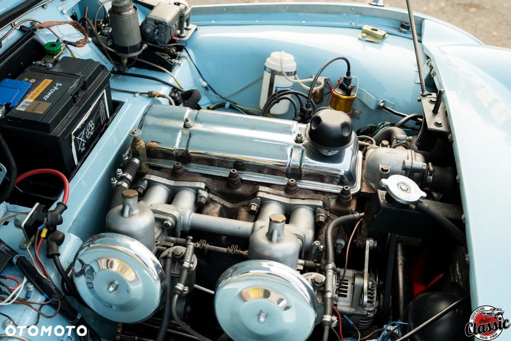 Triumph TR3 - 20