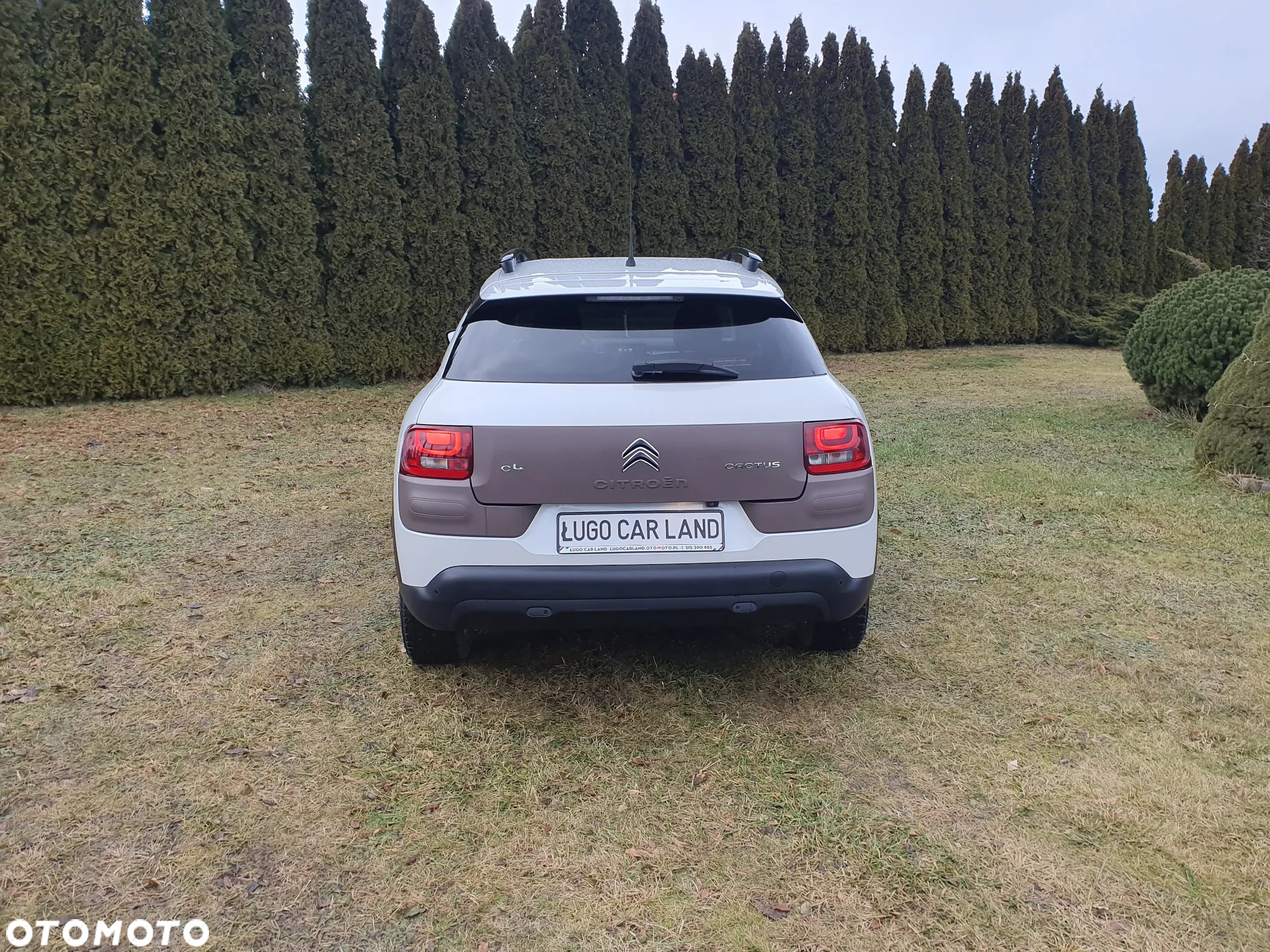 Citroën C4 Cactus 1.2 PureTech Shine S&S - 10