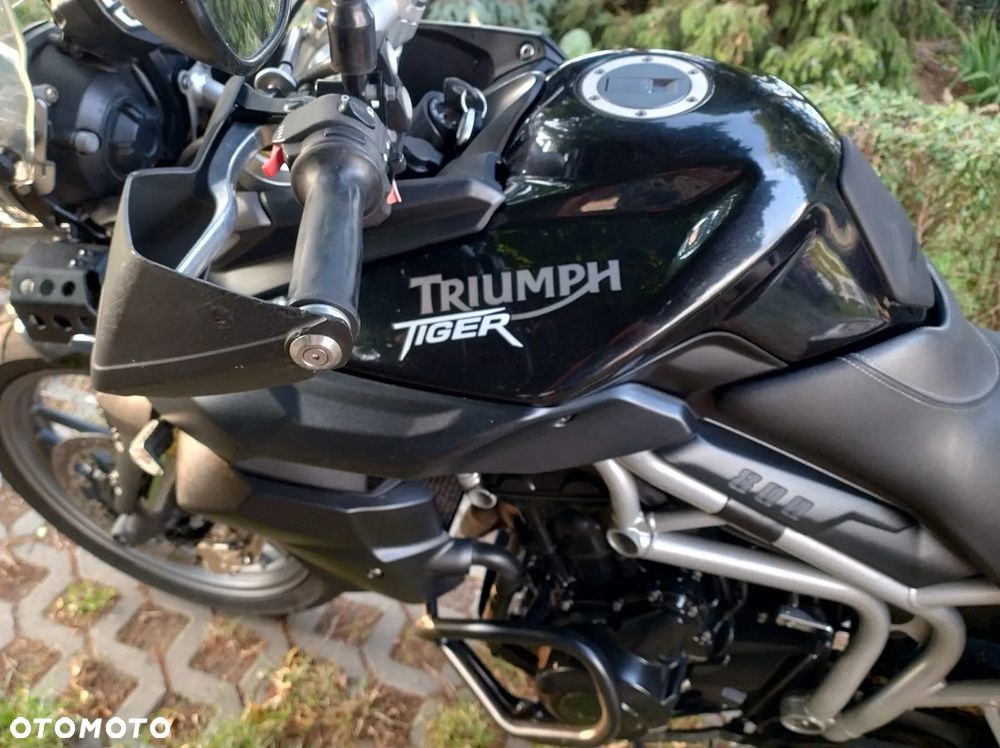 Triumph Tiger - 14