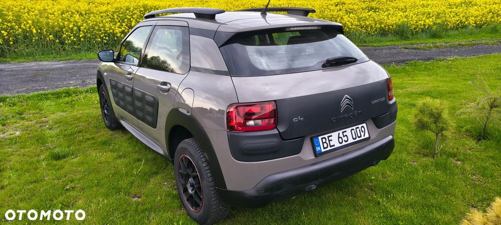 Citroën C4 Cactus BlueHDi 100 Stop&Start Business Class - 16