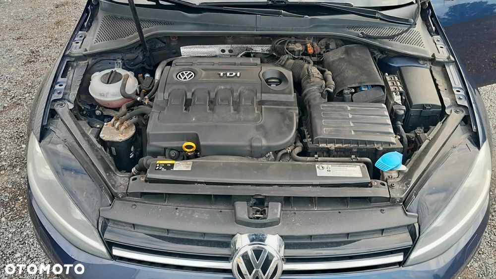 Volkswagen Golf - 17