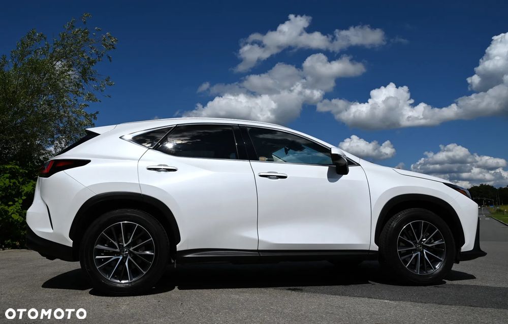 Lexus NX - 21